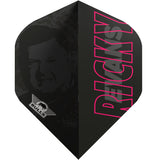 Bull's Ricky Evans 80% E2 Steel Tip Darts